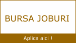 Bursa jobs